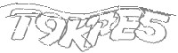Check code